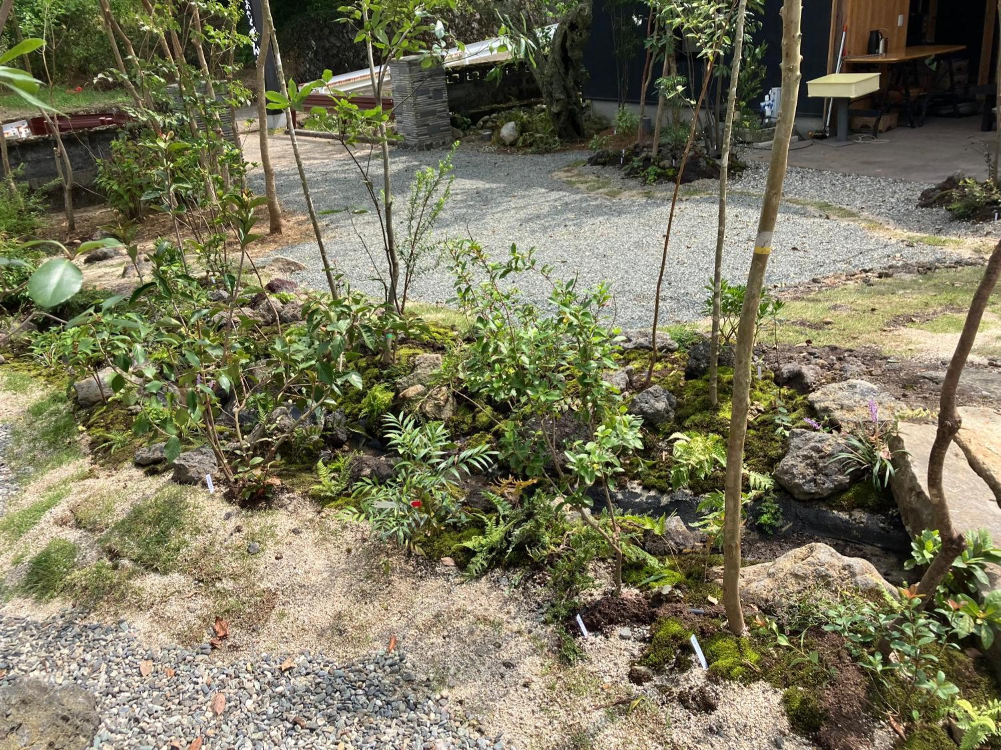 お宿でん吉 南阿苏村 外观 照片